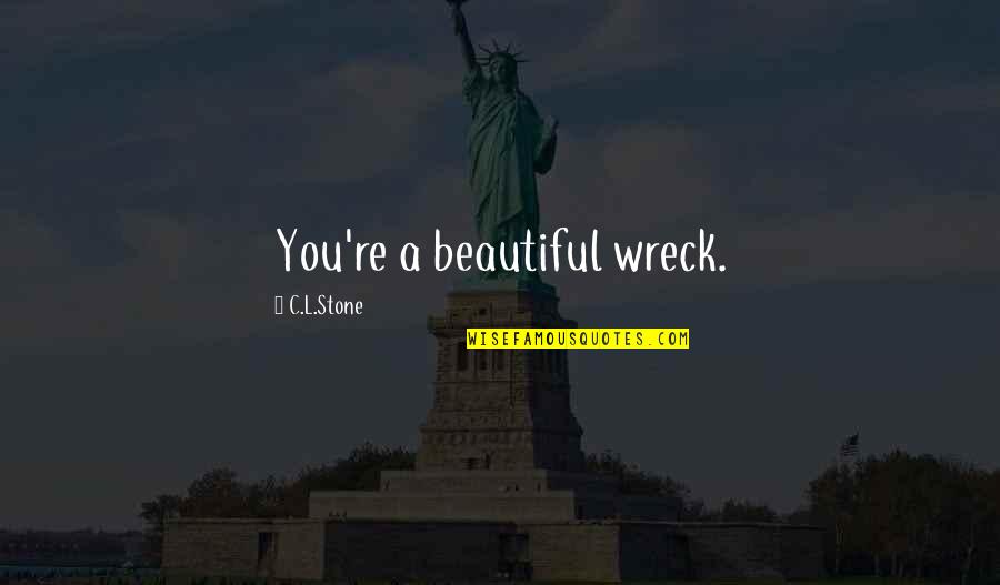 Realigment Quotes By C.L.Stone: You're a beautiful wreck.