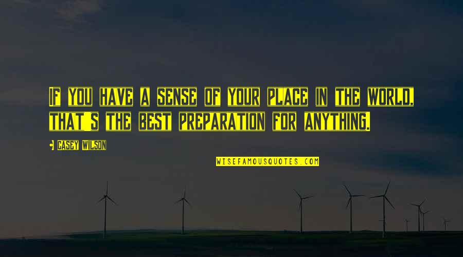 Realise How Lucky I Am Quotes By Casey Wilson: If you have a sense of your place