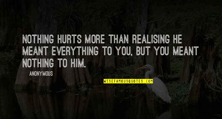 Realising Quotes By Anonymous: Nothing hurts more than realising he meant everything