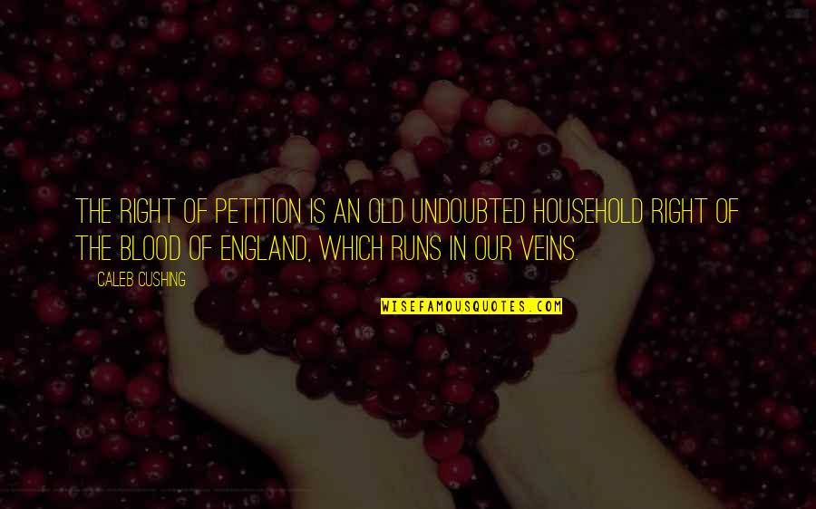 Realism In Education Quotes By Caleb Cushing: The right of petition is an old undoubted Realism In Education Quotes By Caleb Cushing: The right of petition is an old undoubted