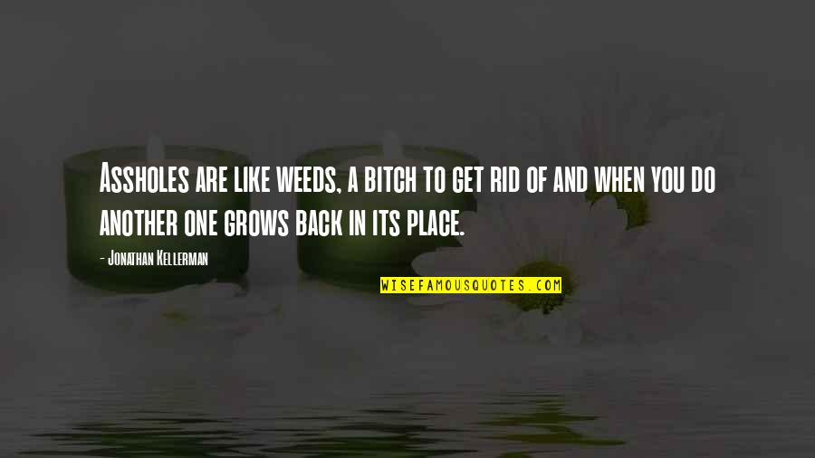 Reality And Fiction Quotes By Jonathan Kellerman: Assholes are like weeds, a bitch to get