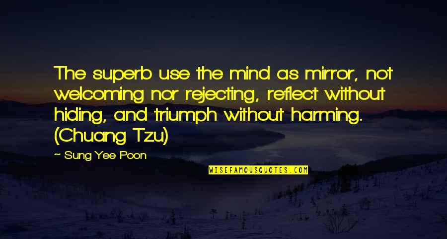 Reality And The Mind Quotes By Sung Yee Poon: The superb use the mind as mirror, not