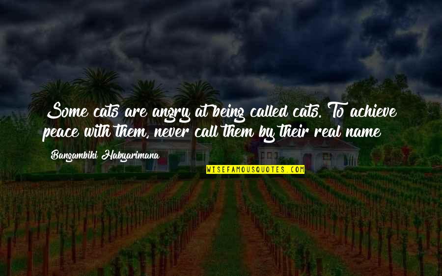 Reality Bites Quotes By Bangambiki Habyarimana: Some cats are angry at being called cats.