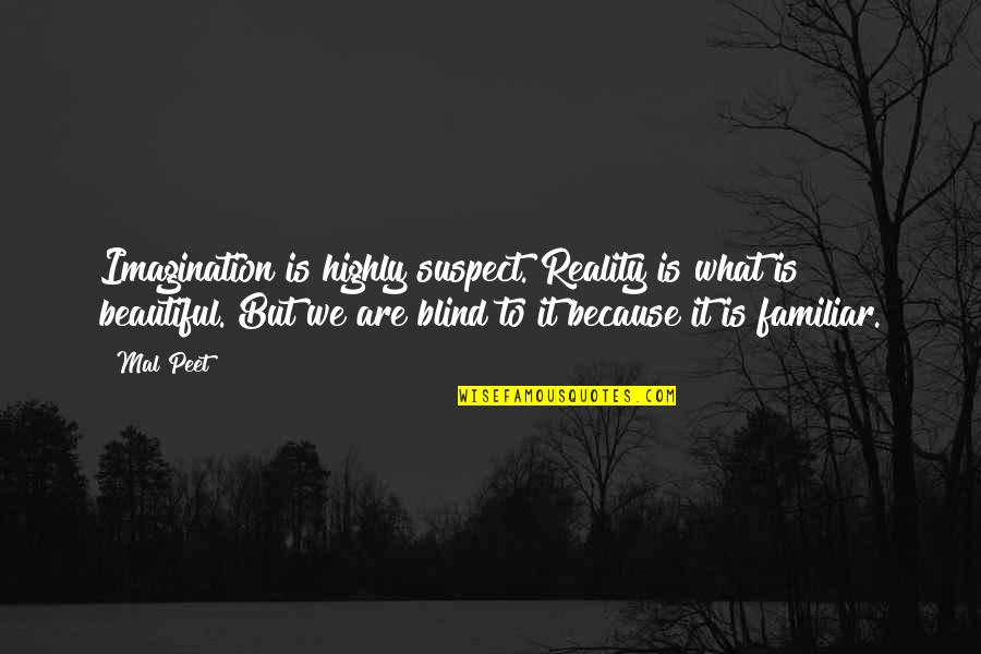 Reality Fiction Quotes By Mal Peet: Imagination is highly suspect. Reality is what is Reality Fiction Quotes By Mal Peet: Imagination is highly suspect. Reality is what is