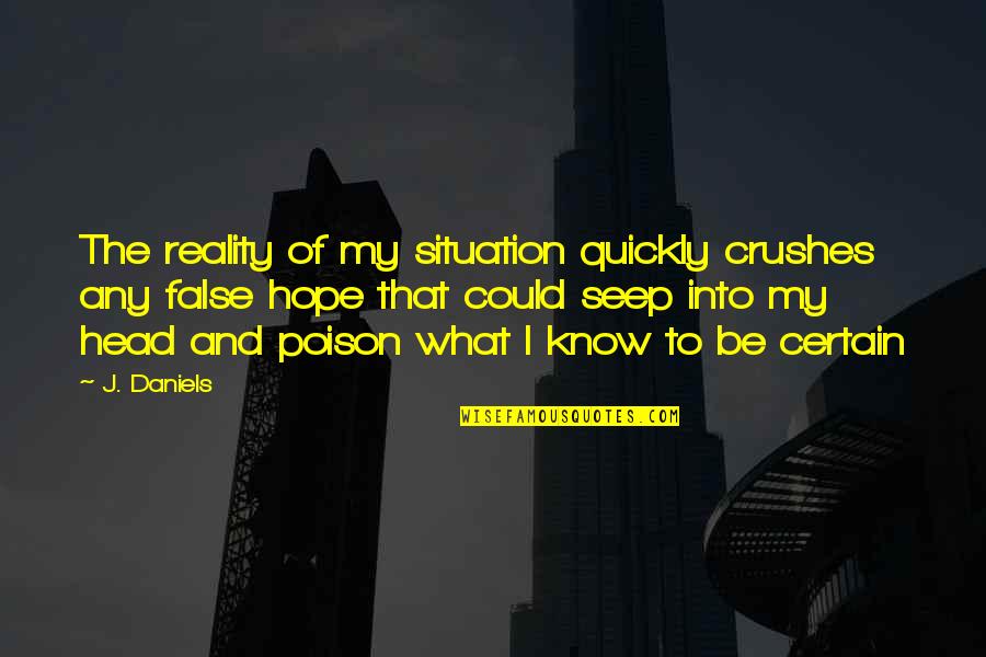 Reality Of The Situation Quotes By J. Daniels: The reality of my situation quickly crushes any