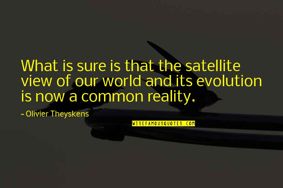Reality Of World Quotes By Olivier Theyskens: What is sure is that the satellite view Reality Of World Quotes By Olivier Theyskens: What is sure is that the satellite view