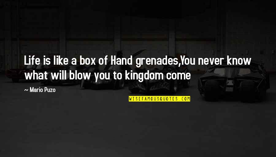 Realizame Quotes By Mario Puzo: Life is like a box of Hand grenades,You