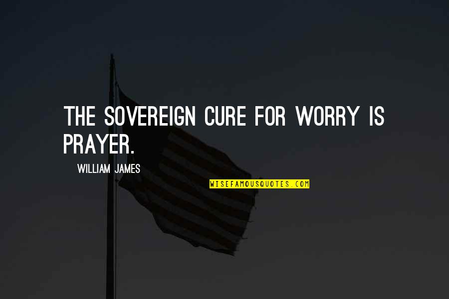 Realizarse Quotes By William James: The sovereign cure for worry is prayer.