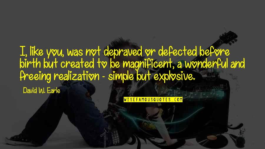 Realization And Change Quotes By David W. Earle: I, like you, was not depraved or defected