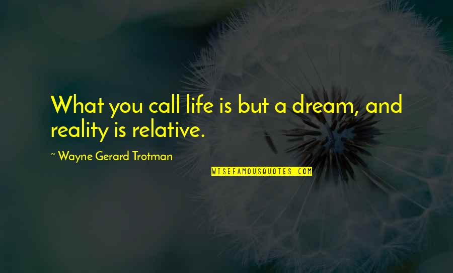Realization Of Reality Quotes By Wayne Gerard Trotman: What you call life is but a dream,