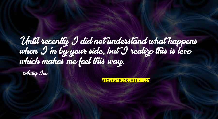 Realize Quotes And Quotes By Auliq Ice: Until recently I did not understand what happens