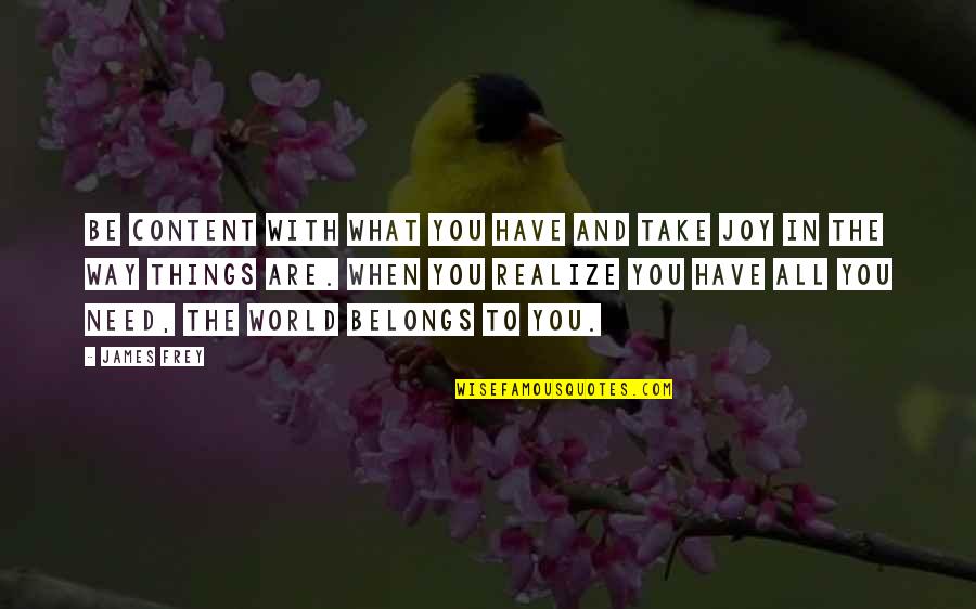 Realize What You Have Quotes By James Frey: Be content with what you have and take