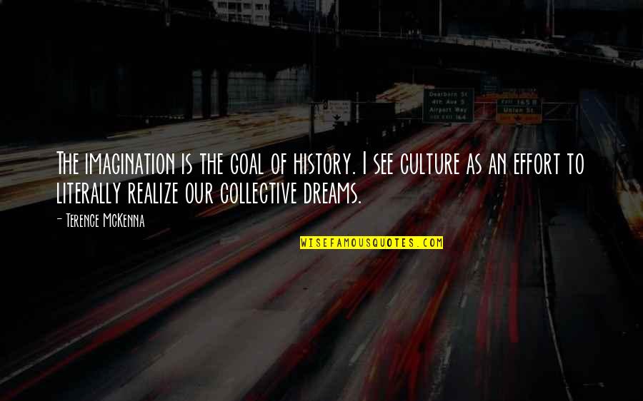 Realize Your Dreams Quotes By Terence McKenna: The imagination is the goal of history. I