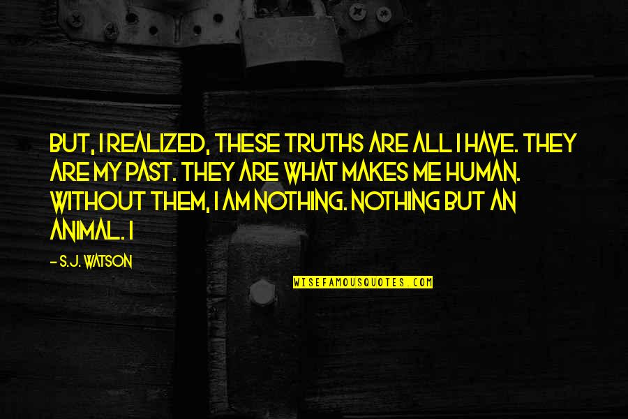 Realized What You Have Quotes By S.J. Watson: But, I realized, these truths are all I