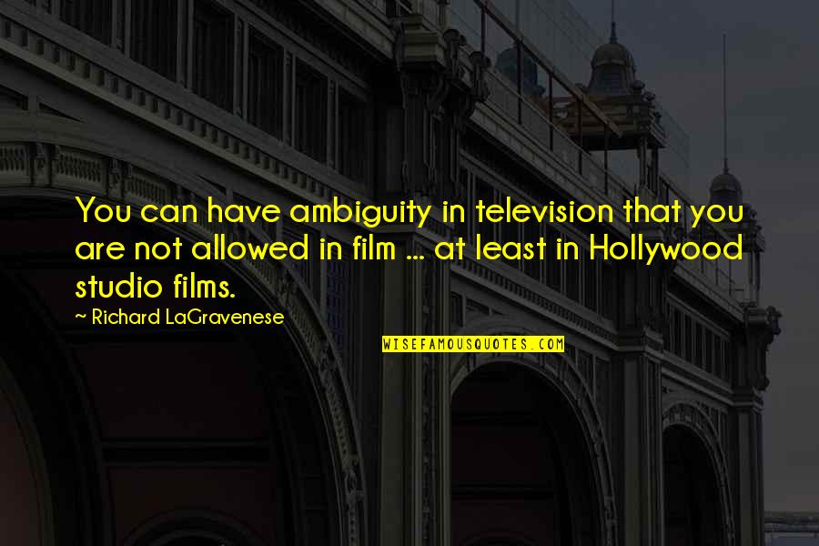 Realizing How Good You Have It Quotes By Richard LaGravenese: You can have ambiguity in television that you