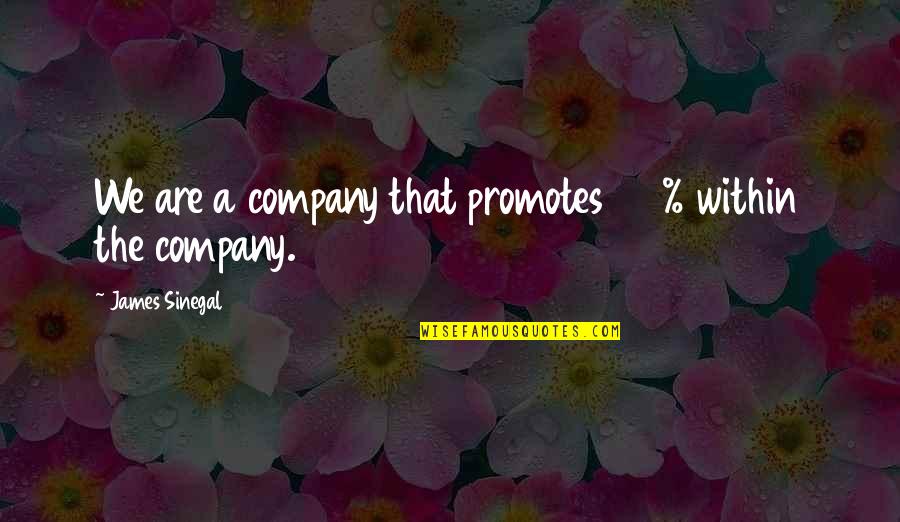 Realizing True Love Quotes By James Sinegal: We are a company that promotes 100% within