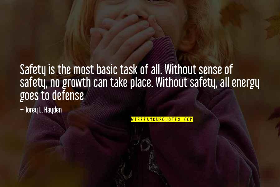 Realizing What's In Front Of You Quotes By Torey L. Hayden: Safety is the most basic task of all.
