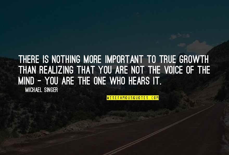 Realizing Who You Are Quotes By Michael Singer: There is nothing more important to true growth