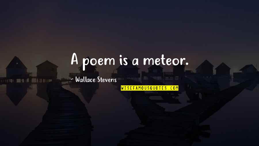 Realizing You Don't Need Someone Quotes By Wallace Stevens: A poem is a meteor.