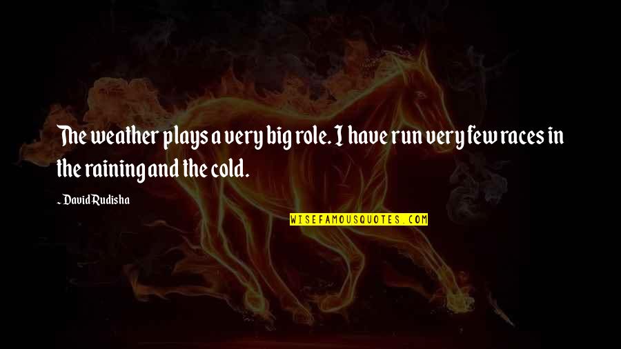 Really Cold Weather Quotes By David Rudisha: The weather plays a very big role. I Really Cold Weather Quotes By David Rudisha: The weather plays a very big role. I