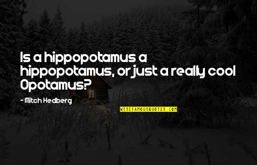 Really Cool Quotes By Mitch Hedberg: Is a hippopotamus a hippopotamus, or just a
