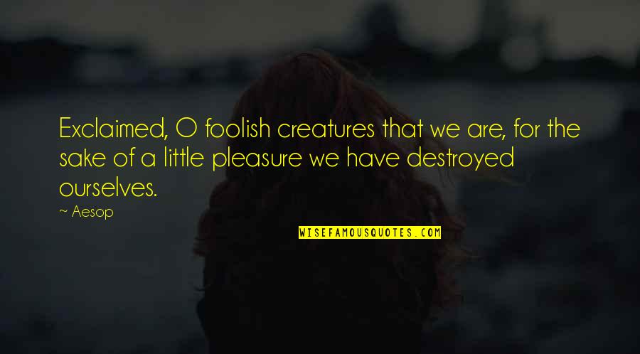 Really Cool Sports Quotes By Aesop: Exclaimed, O foolish creatures that we are, for