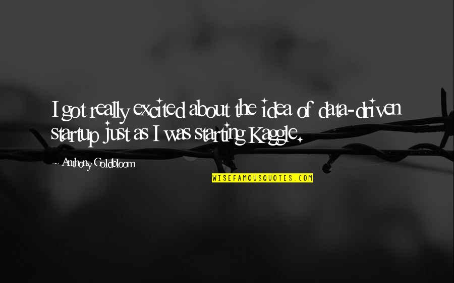 Really Excited Quotes By Anthony Goldbloom: I got really excited about the idea of Really Excited Quotes By Anthony Goldbloom: I got really excited about the idea of