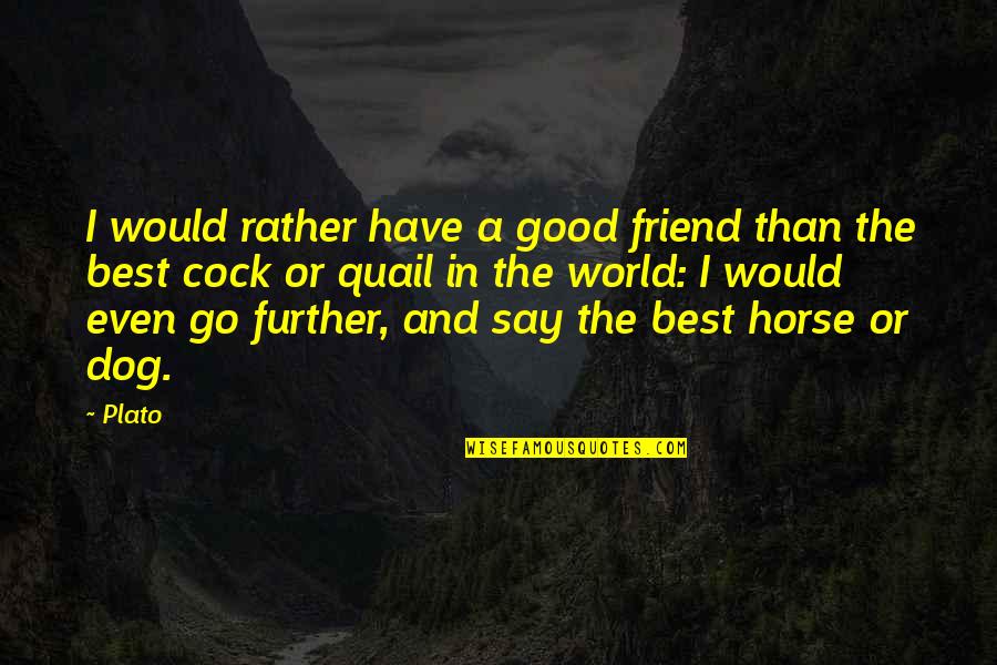 Really Good Horse Quotes By Plato: I would rather have a good friend than