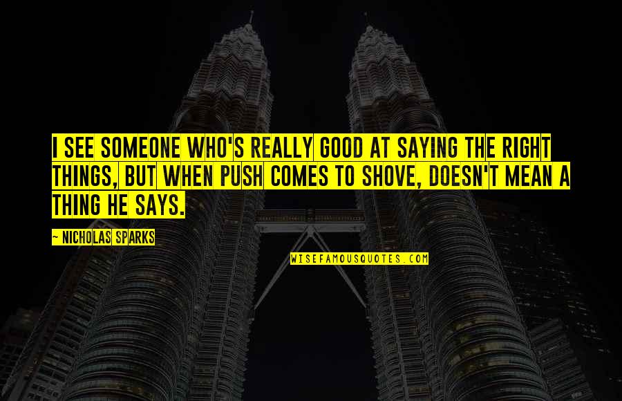 Really Good True Quotes By Nicholas Sparks: I see someone who's really good at saying