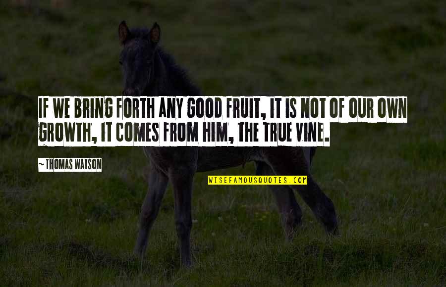 Really Good True Quotes By Thomas Watson: If we bring forth any good fruit, it