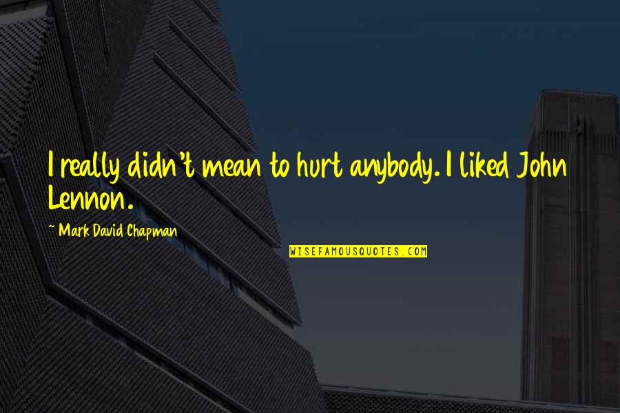 Really Hurt Quotes By Mark David Chapman: I really didn't mean to hurt anybody. I