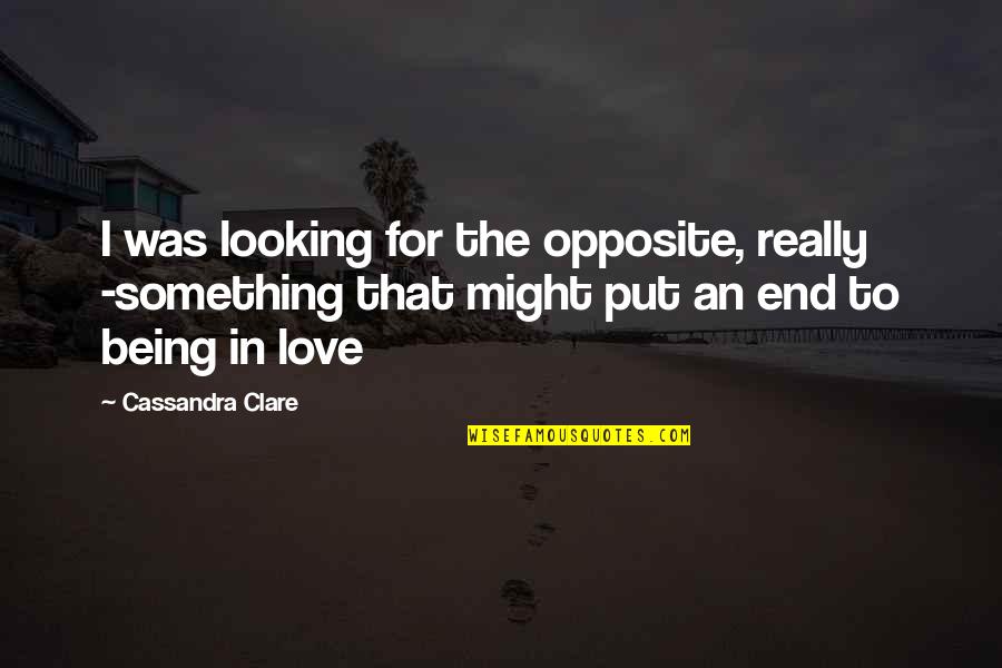 Really Love Quotes By Cassandra Clare: I was looking for the opposite, really -something