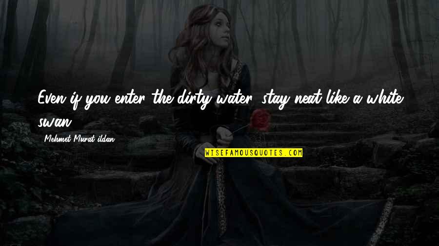 Really Neat Quotes By Mehmet Murat Ildan: Even if you enter the dirty water, stay