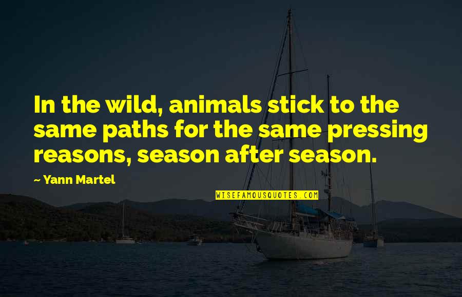 Really Nice And Sweet Quotes By Yann Martel: In the wild, animals stick to the same