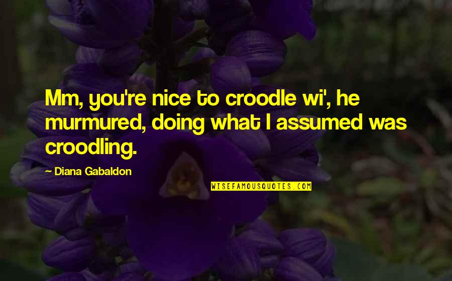 Really Nice Funny Quotes By Diana Gabaldon: Mm, you're nice to croodle wi', he murmured,