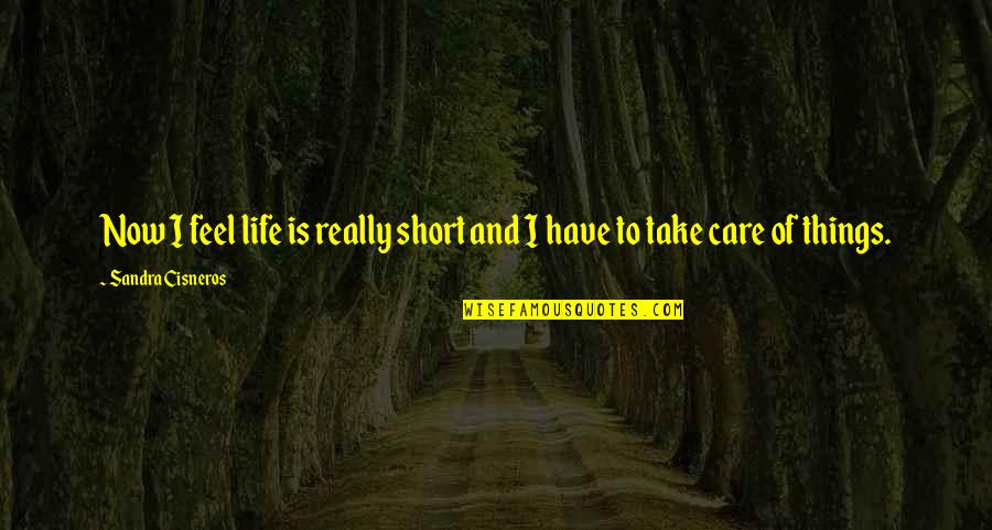 Really Short Life Quotes By Sandra Cisneros: Now I feel life is really short and