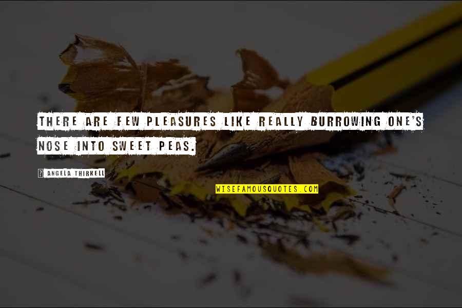 Really Sweet Quotes By Angela Thirkell: There are few pleasures like really burrowing one's