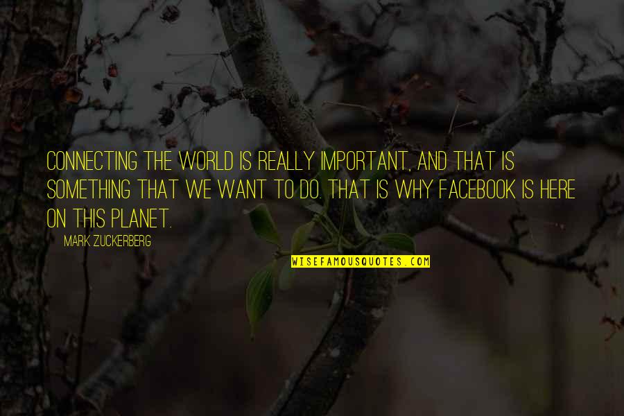 Really Want Something Quotes By Mark Zuckerberg: Connecting the world is really important, and that