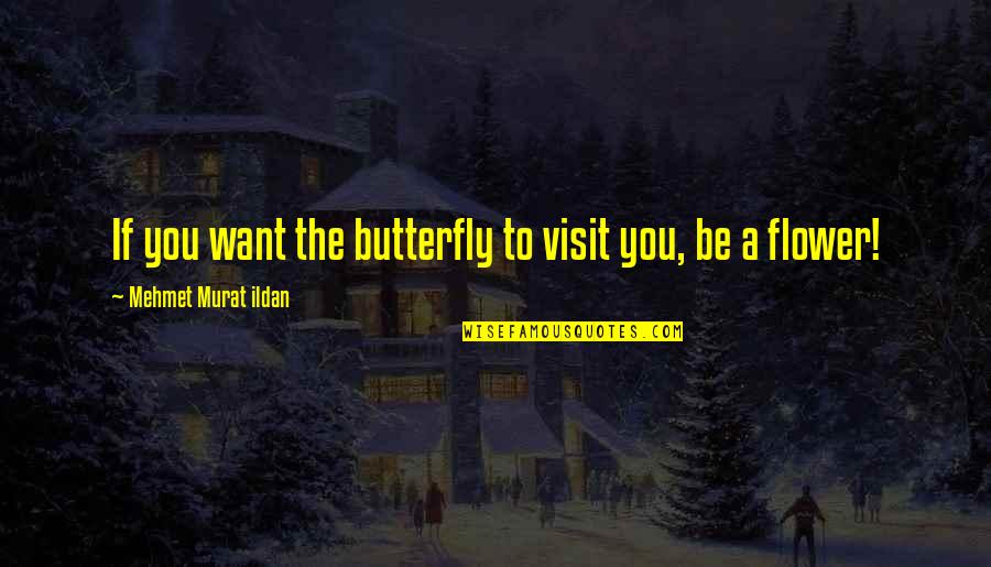 Really Wanting To Talk To Someone Quotes By Mehmet Murat Ildan: If you want the butterfly to visit you,