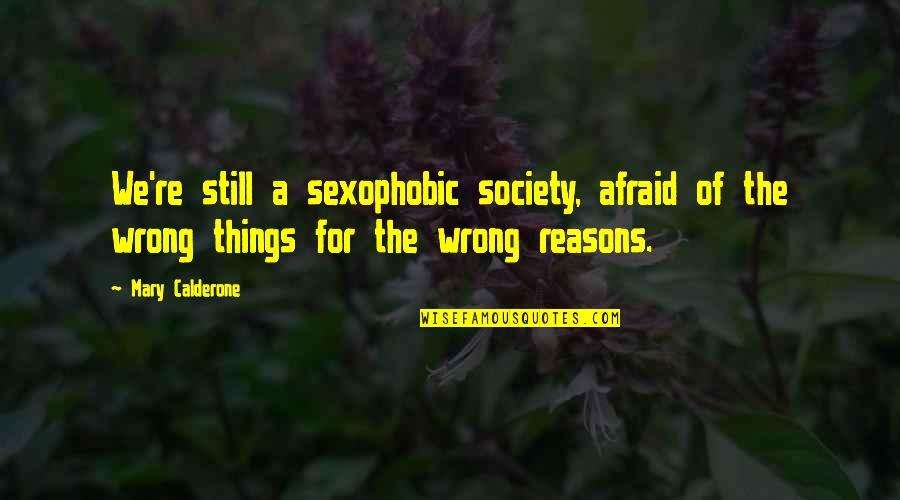 Realtionship Problems Quotes By Mary Calderone: We're still a sexophobic society, afraid of the