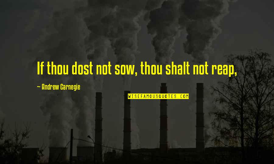 Reap Quotes By Andrew Carnegie: If thou dost not sow, thou shalt not