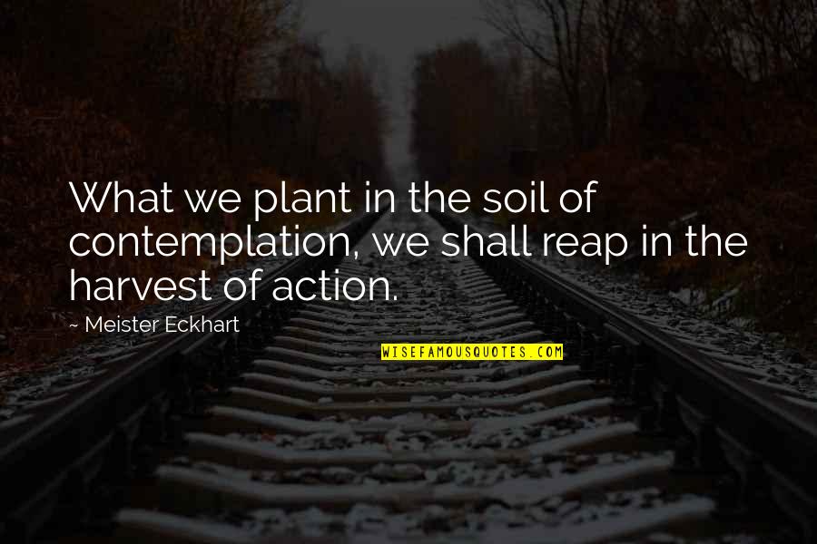 Reap Quotes By Meister Eckhart: What we plant in the soil of contemplation,