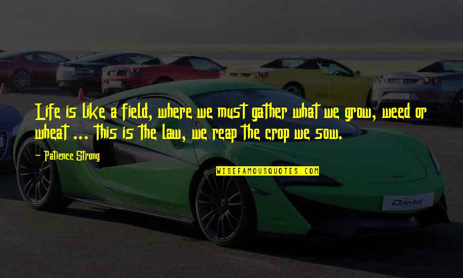 Reap Quotes By Patience Strong: Life is like a field, where we must