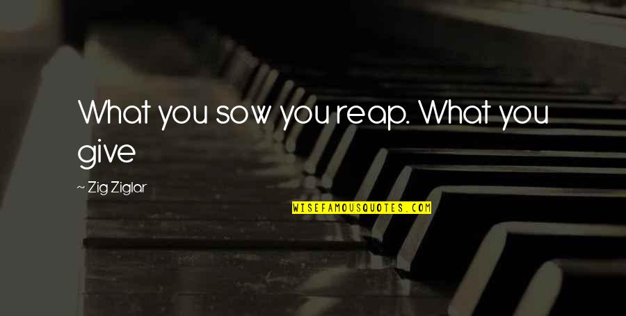 Reap What You Sow Quotes By Zig Ziglar: What you sow you reap. What you give