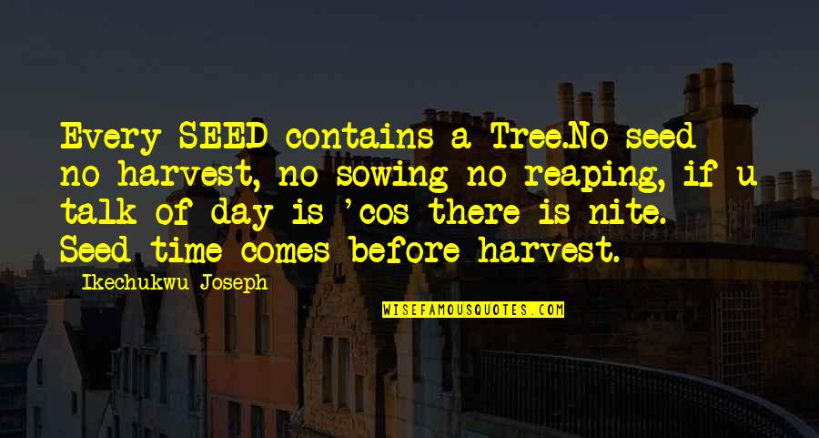 Reaping The Harvest Quotes By Ikechukwu Joseph: Every SEED contains a Tree.No seed no harvest, Reaping The Harvest Quotes By Ikechukwu Joseph: Every SEED contains a Tree.No seed no harvest,