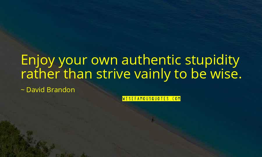 Reaping The Rewards Of Hard Work Quotes By David Brandon: Enjoy your own authentic stupidity rather than strive