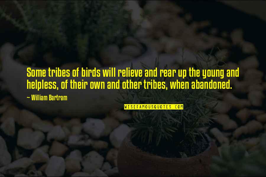 Rear Quotes By William Bartram: Some tribes of birds will relieve and rear