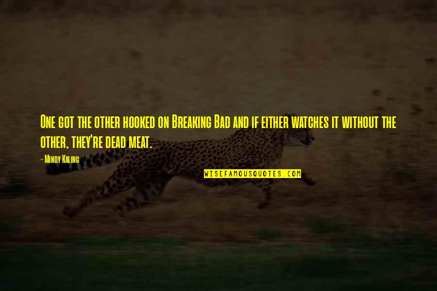 Rearrangers Quotes By Mindy Kaling: One got the other hooked on Breaking Bad