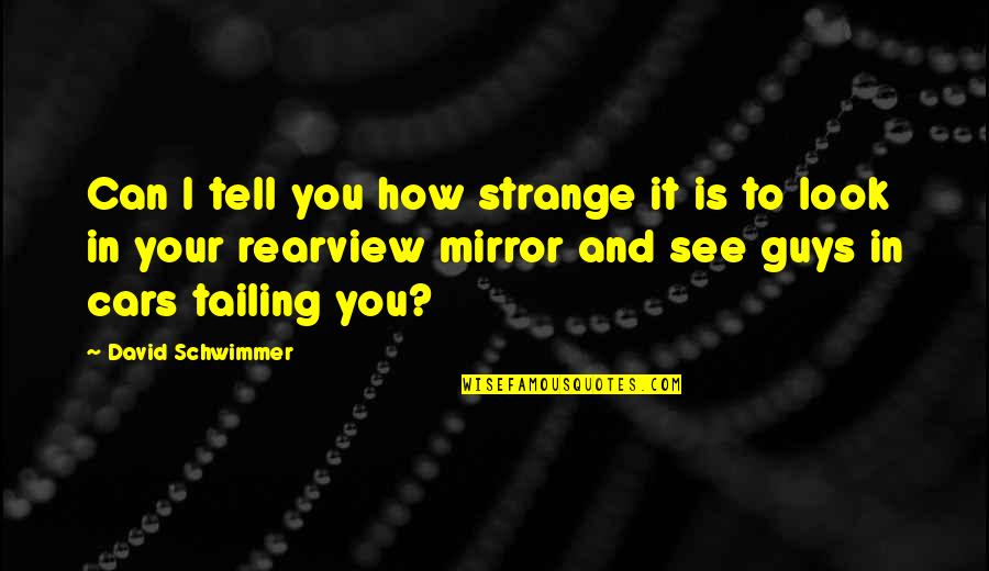 Rearview Quotes By David Schwimmer: Can I tell you how strange it is