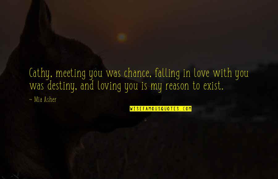 Reason And Love Quotes By Mia Asher: Cathy, meeting you was chance, falling in love